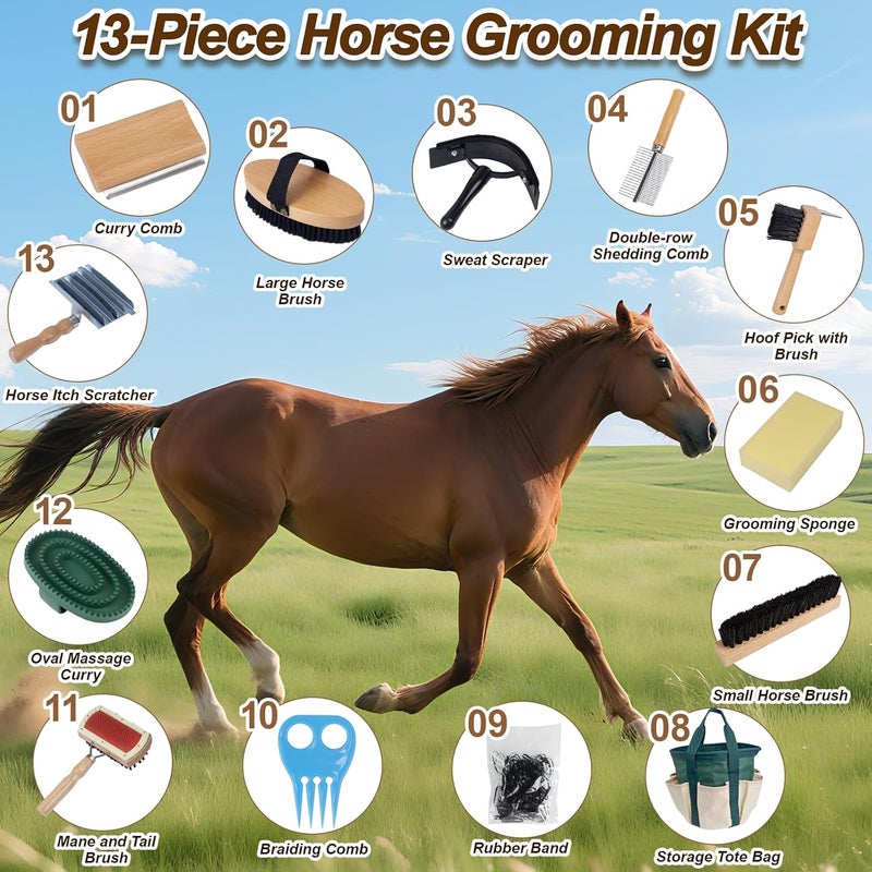 DigNew 13-Piece Horse Grooming kit for Daily Care,Complete Horse Supplies Set with Wood Brushes, Tack Essentials, Curry Tools, and Practical Horse Accessories for Farm & Stable Use - Image 2